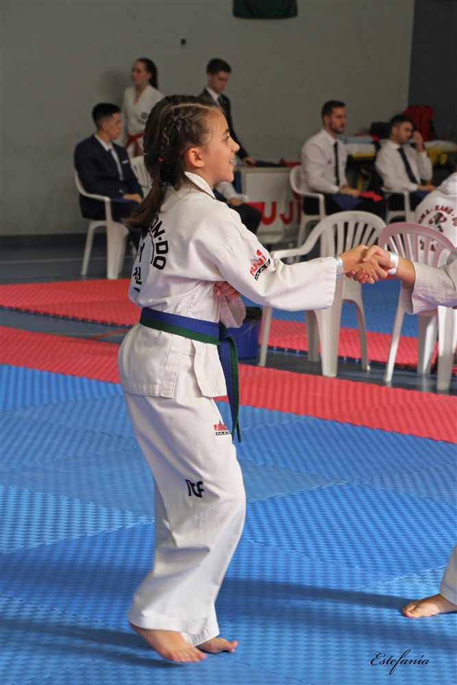 Copa Seul 2018 (416).jpg